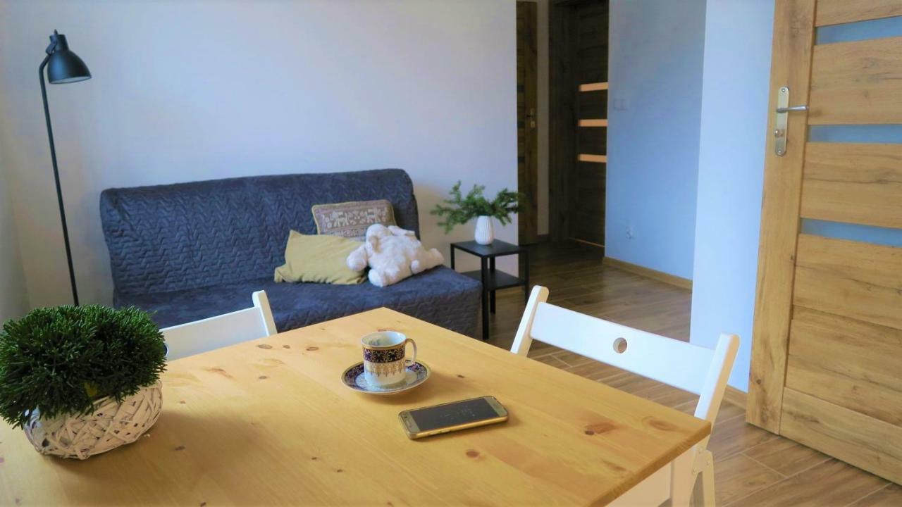 Apartamenty Siostra I Siostra Laziska  외부 사진